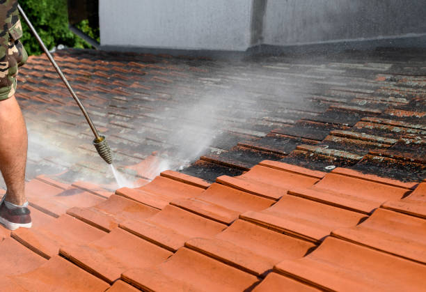 Best Best Pressure Washing Companies  in Dano, CO