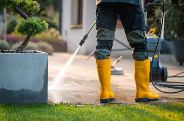 Best Commercial Pressure Washing  in Dano, CO
